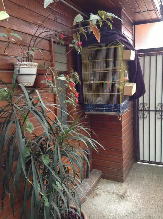 Hotel Luanco Temuco Exterior foto